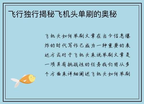 飞行独行揭秘飞机头单刷的奥秘